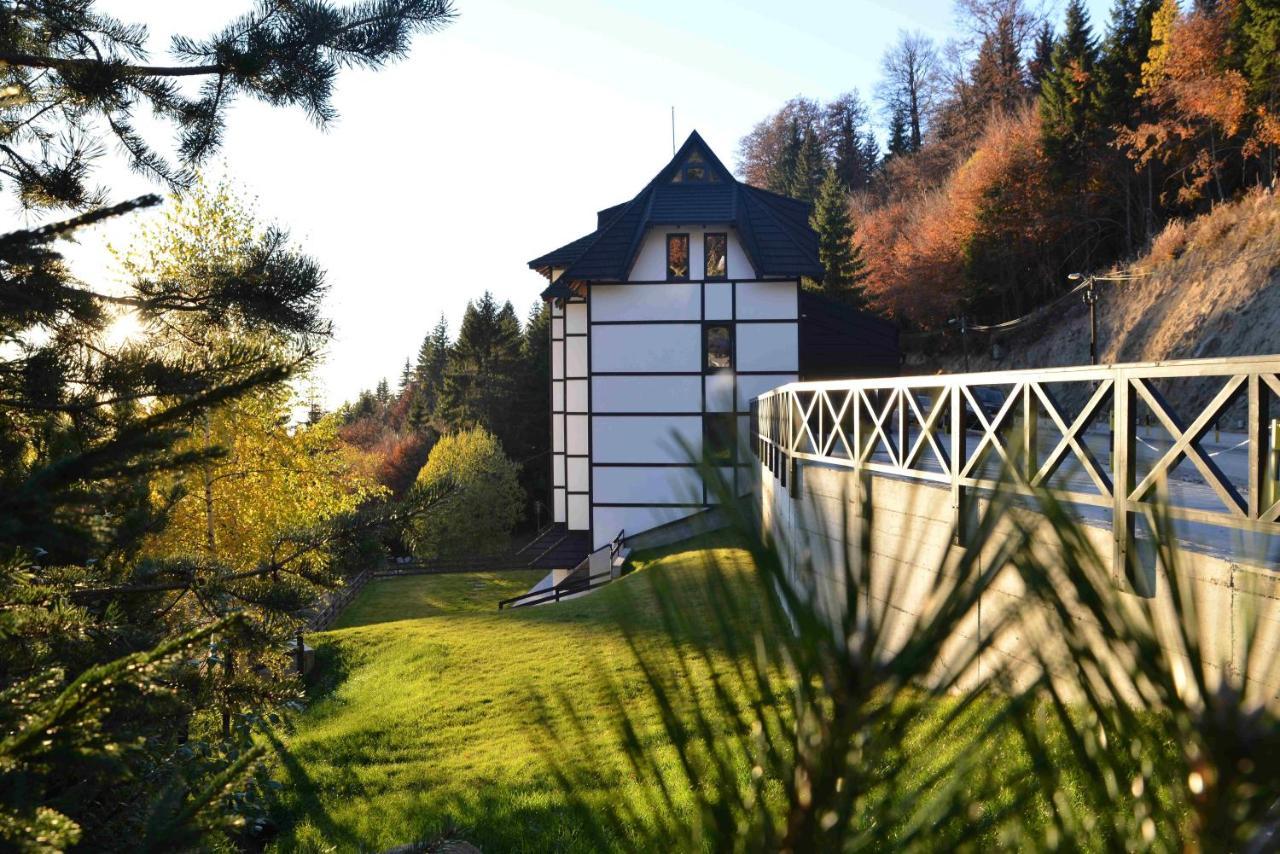 Vila Irina Kopaonik Zewnętrze zdjęcie